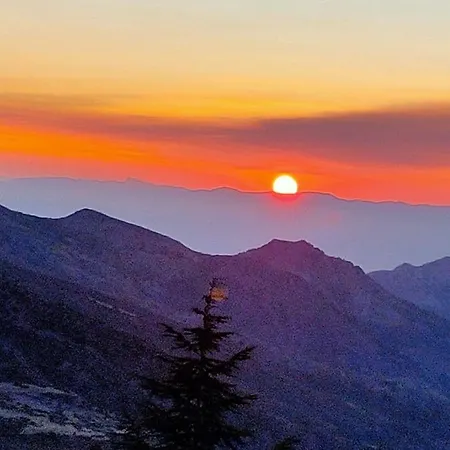 Erase Otra Vez En Apartment