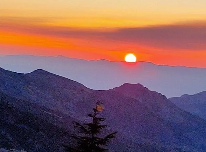 Erase Otra Vez En Lejlighed